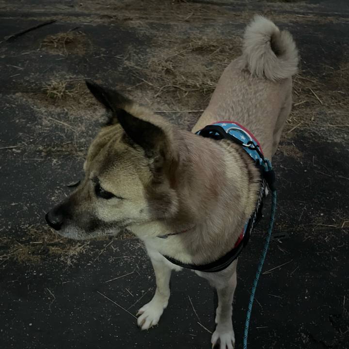 46258183 fbea 4eb8 8998 645b453f328b 1706878098463