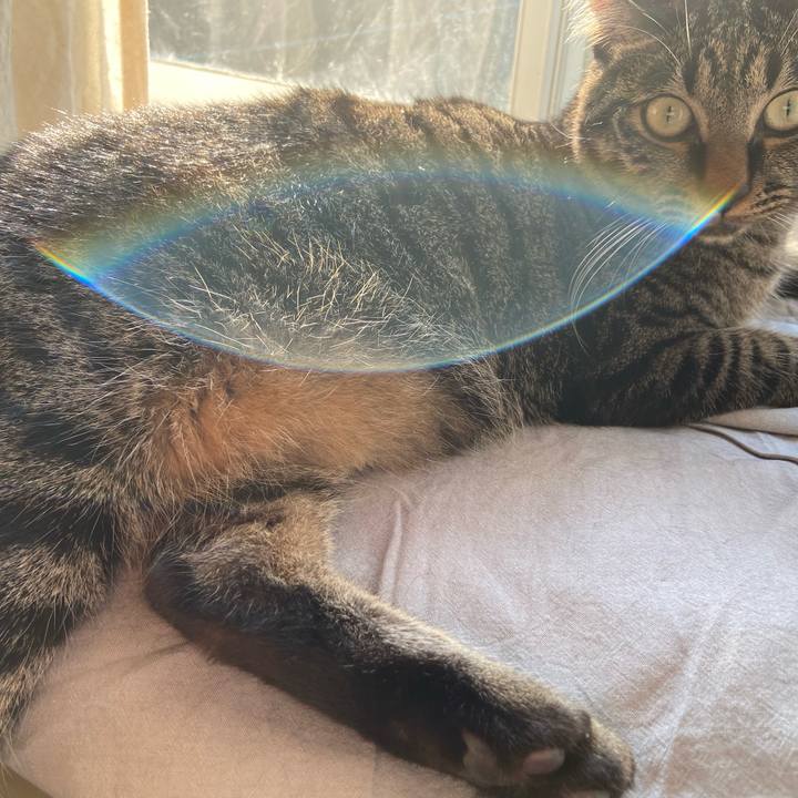 4625b107 4cf1 4ffd 9786 577ca92c02d5 1632569030552