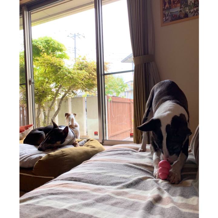 4625bbf9 7cea 422b abff 7ad434a7950f 1587433636049