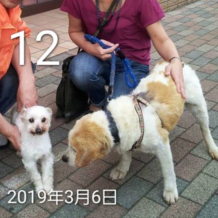 4625dc37 69fa 4699 9c92 fc51b68e64c9 1710246725608