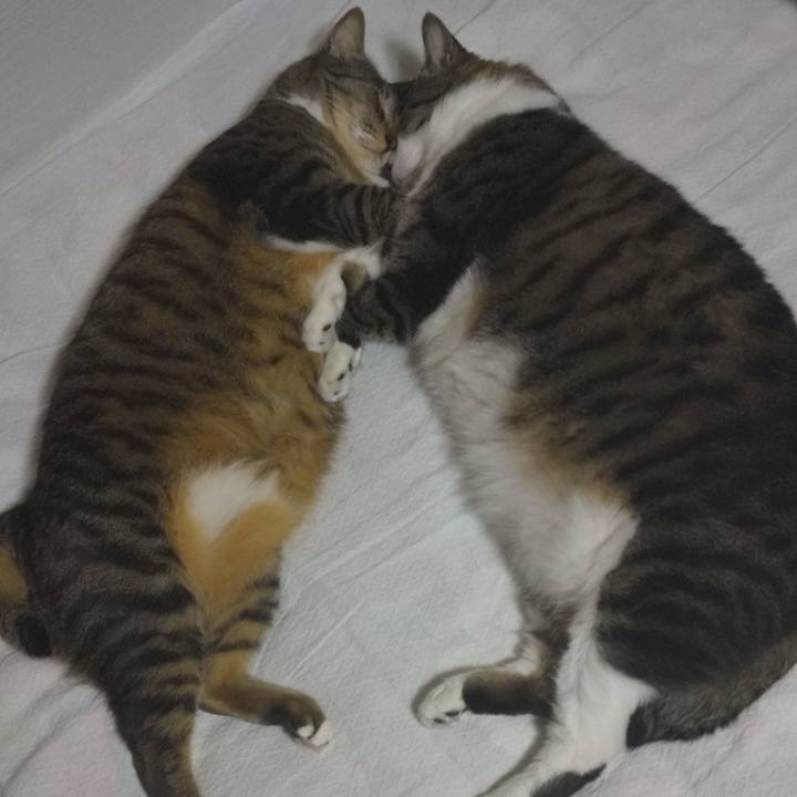 4625e28c 79cb 4212 8a49 c6ec20b561aa 1649764168959