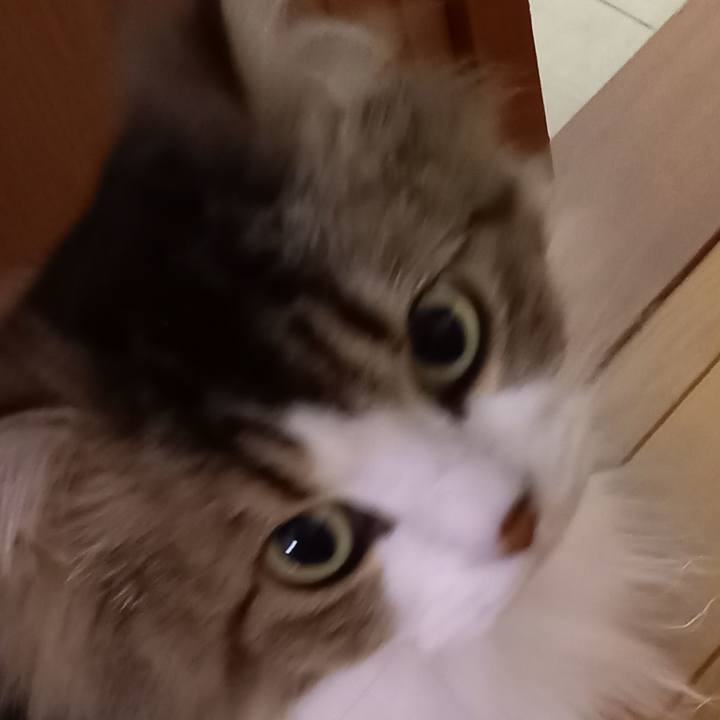 4625fcef d845 4425 8cf7 18d977a19521 1617453388042