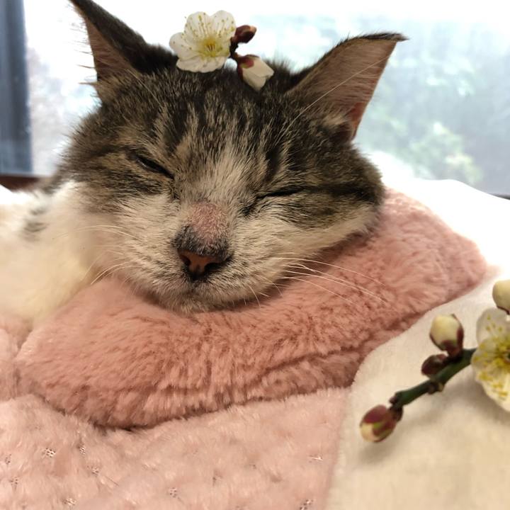 4626063f 5273 47cc b047 fd55a7fe8f45 1643933370187