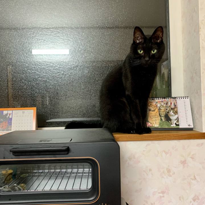 4626443f a7d8 4fda 9f08 d69c0a9cecf7 1634031359722