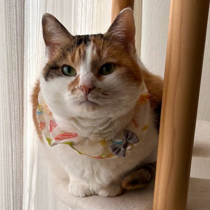 46268962 fd0e 42b9 9d2b 9fa08c13bd29 1772580877030