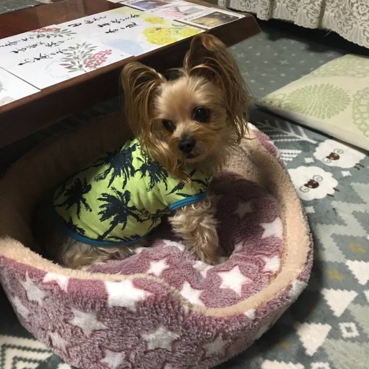 4626a8cb ecc3 434e 96ac 36ae610cb800 1577437017832