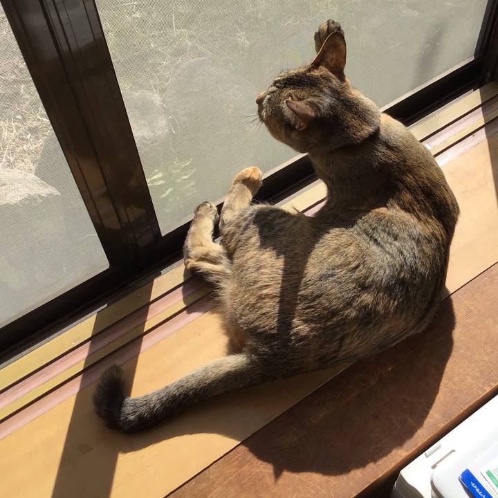 46272d67 484a 4dc6 b5d4 a16d8dff8f17 1584499634791