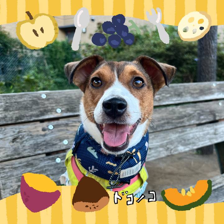 462730f0 7b8b 4534 93db 11b868b2f55a 1726807022605