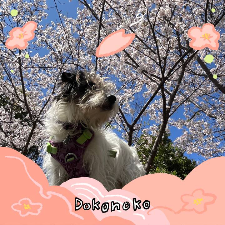 46274268 c820 452b a812 1eb750e48408 1775192193716