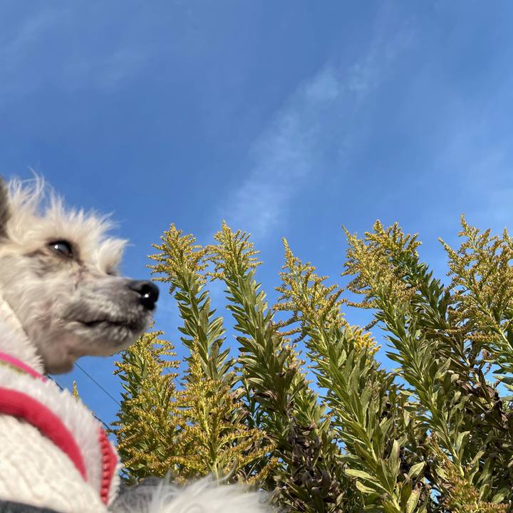 46277284 9c9b 4604 b734 b9b4c7cacb31 1761810707725