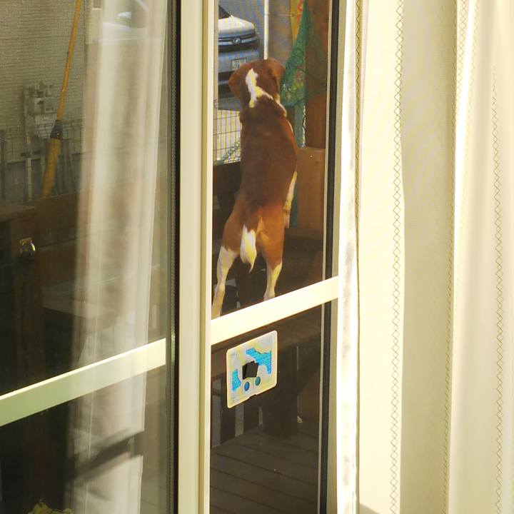 46277bbe d913 4d4e 9fb2 69ee06712fde 1605237301811