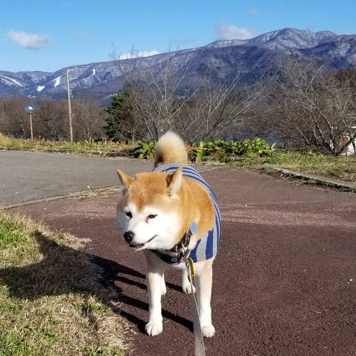 46279410 d6eb 421d 88e3 515a57941c30 1638333476347