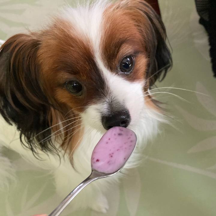 462794a4 22c8 4291 9844 42f6ba3dcbcd 1631499217023