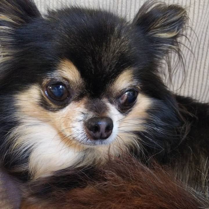 4627d15d f641 47a8 b4ac 11b18503f4ec 1543150664110