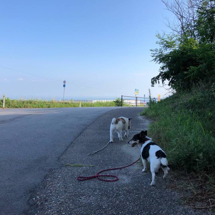 4627f190 4b71 4e01 bc8d 6c3b6a6b497e 1564792058133