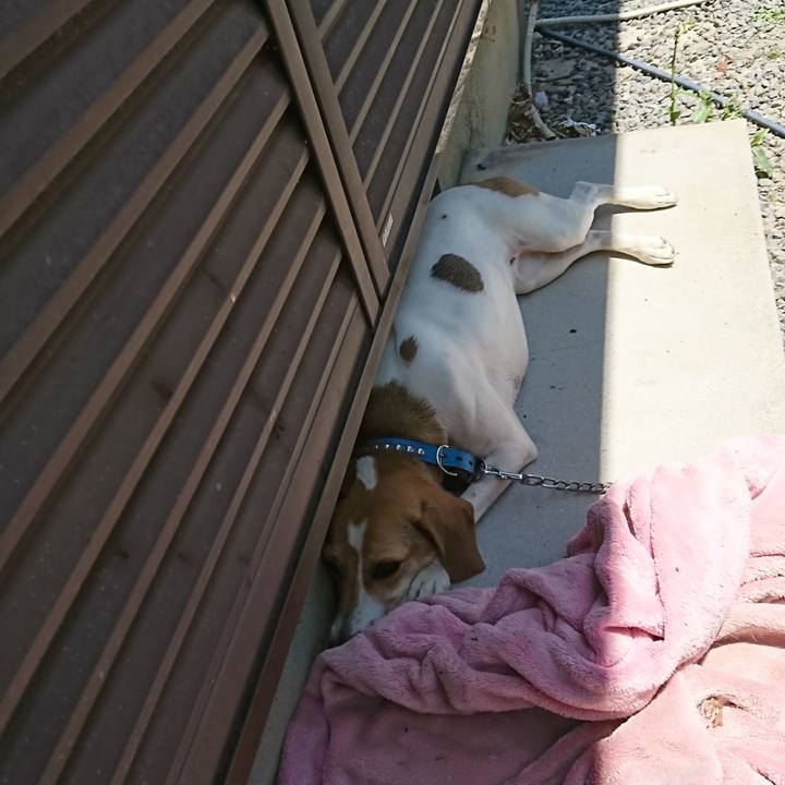 4627f907 11f5 4204 887f a4b28f3fe71d 1560424577088