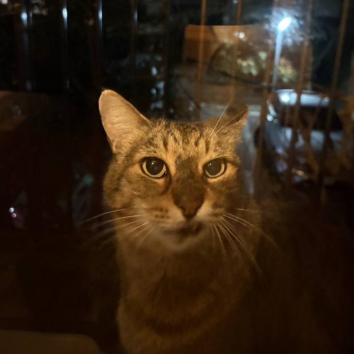 46281a7f 1a85 4338 83f9 eca1e99b61f0 1763471218224