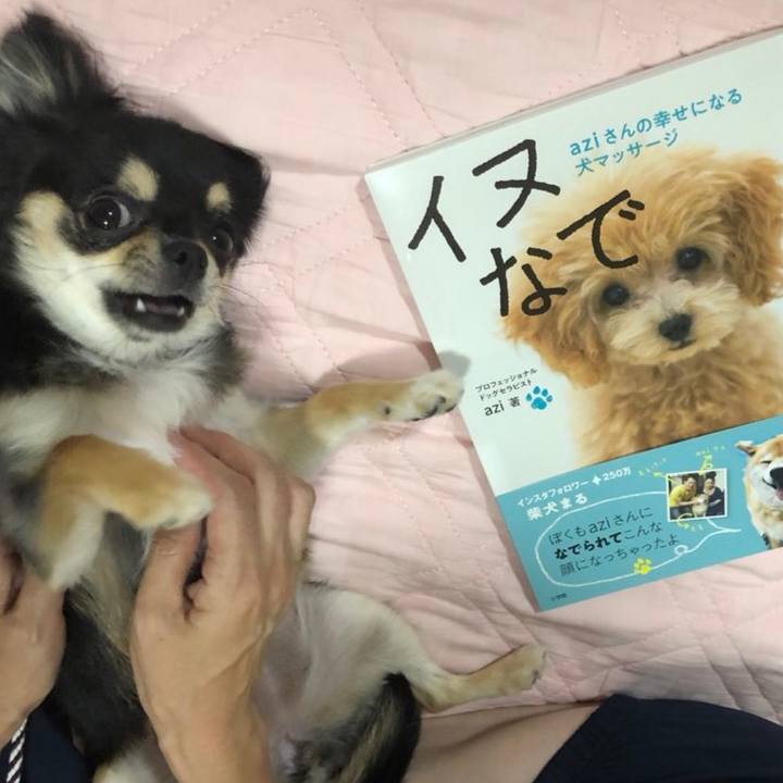 46283919 1e0b 49d6 9129 6a6f1a7ed1c3 1564190896906