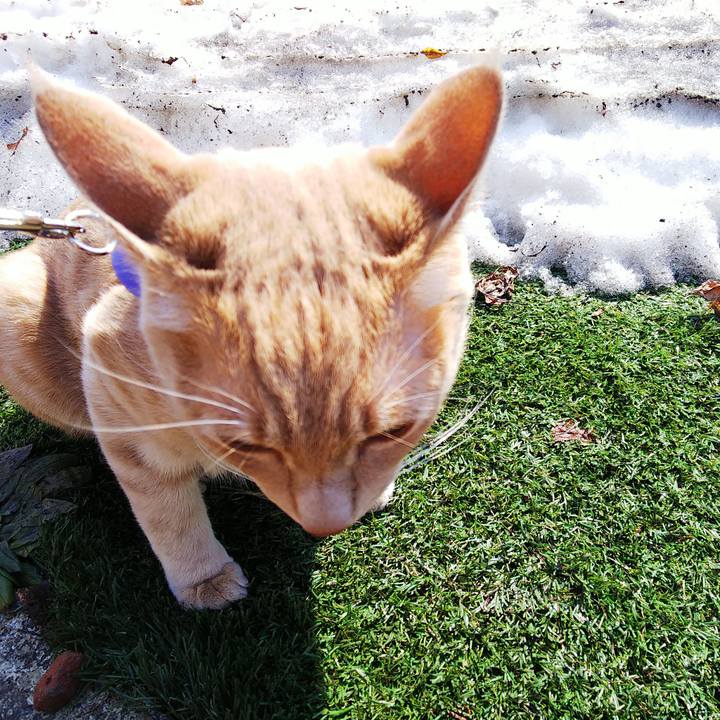 46283c41 65ba 44c8 8344 643ec5ebd490 1555205171247