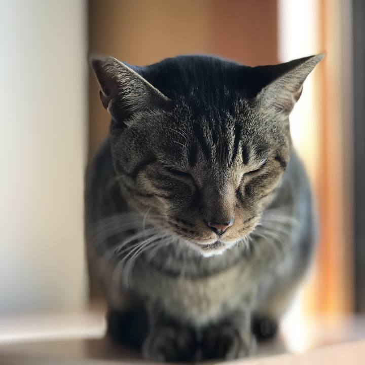 462863ac eb9f 473c 8920 3f9351174785 1521335708734