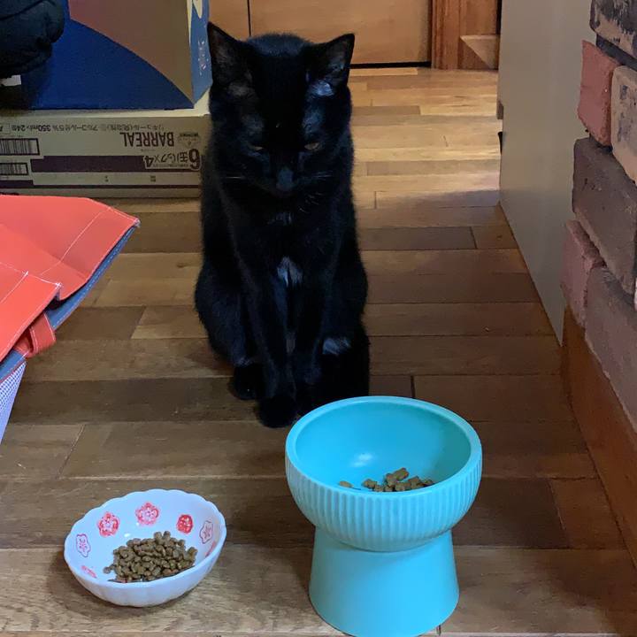 46288d4f 60c3 4184 b109 f3afbbde71c1 1614942003346