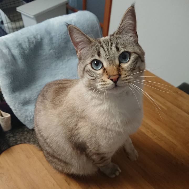 4628d050 03ed 47bd 8b7c b2b5b467bf52 1521594795805