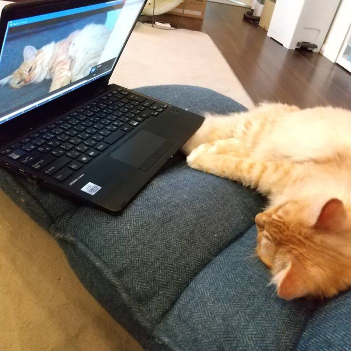 462934aa 8d0a 44ce b9e6 76f99fd55c0d 1625117494988