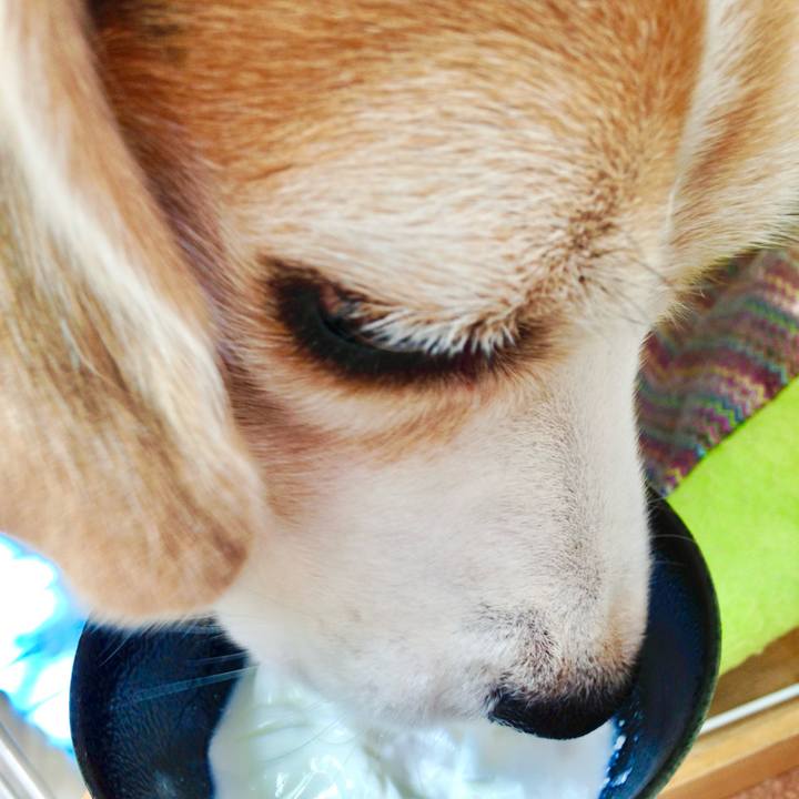 46294628 cb30 45ba beac 0e37c107e070 1759570089477