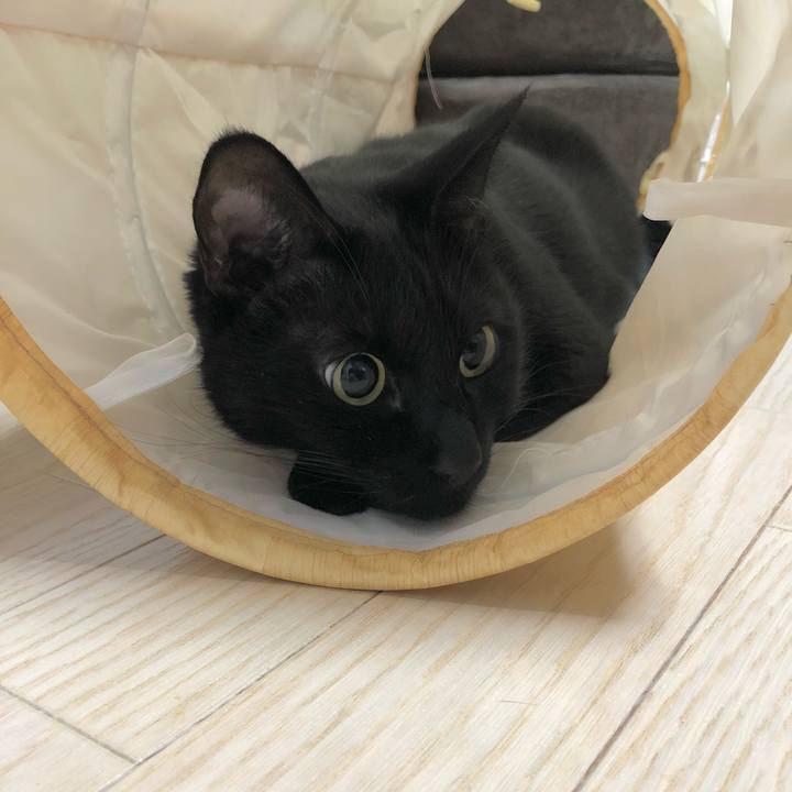 4629635b af73 4586 9ce3 9f4e4b90c2a2 1611409108254