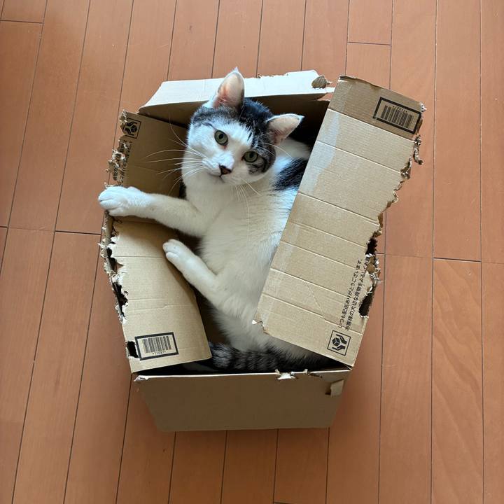 46298c86 2d23 4674 8963 3601444ba39f 1773269403590