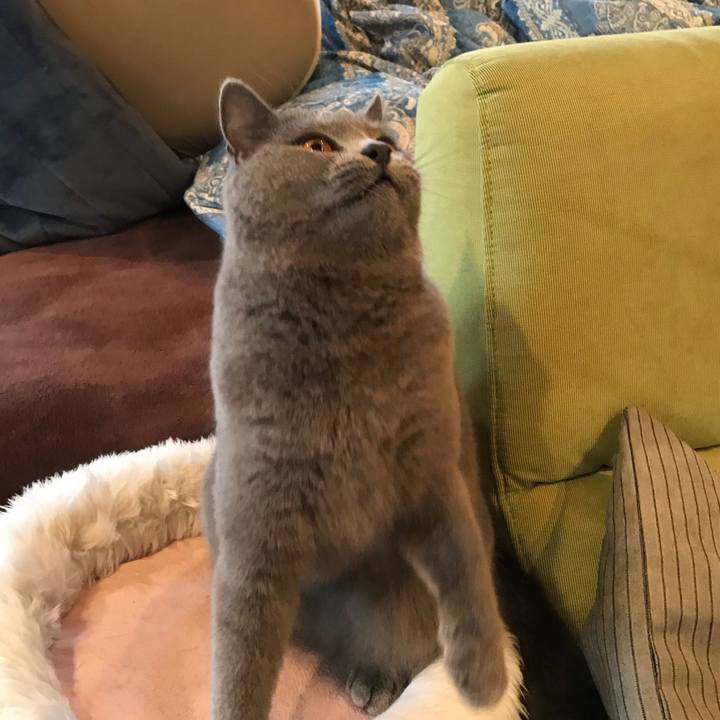 4629a18a b6bf 4a78 9be6 48ab75d95f5f 1575855388064