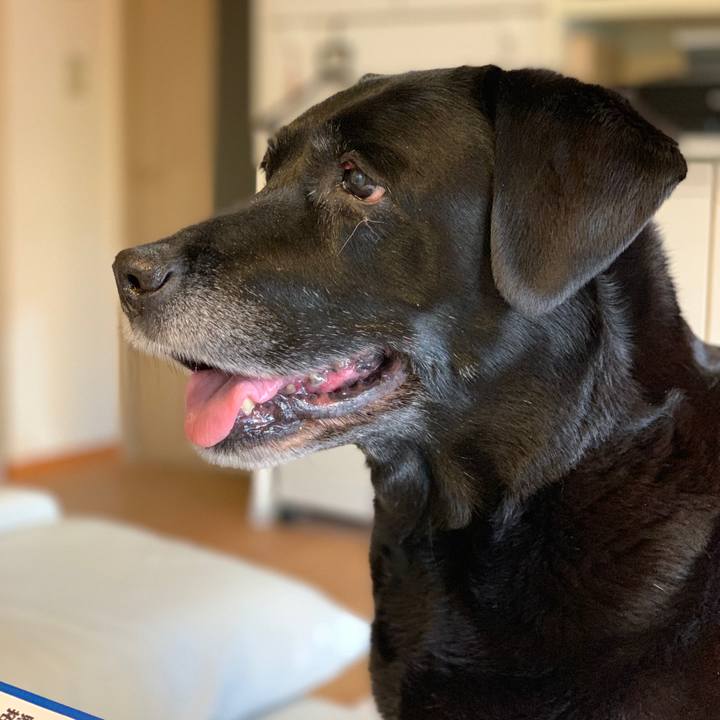 4629c7fb d9d9 444d 8076 8ea60c29e948 1557401182410