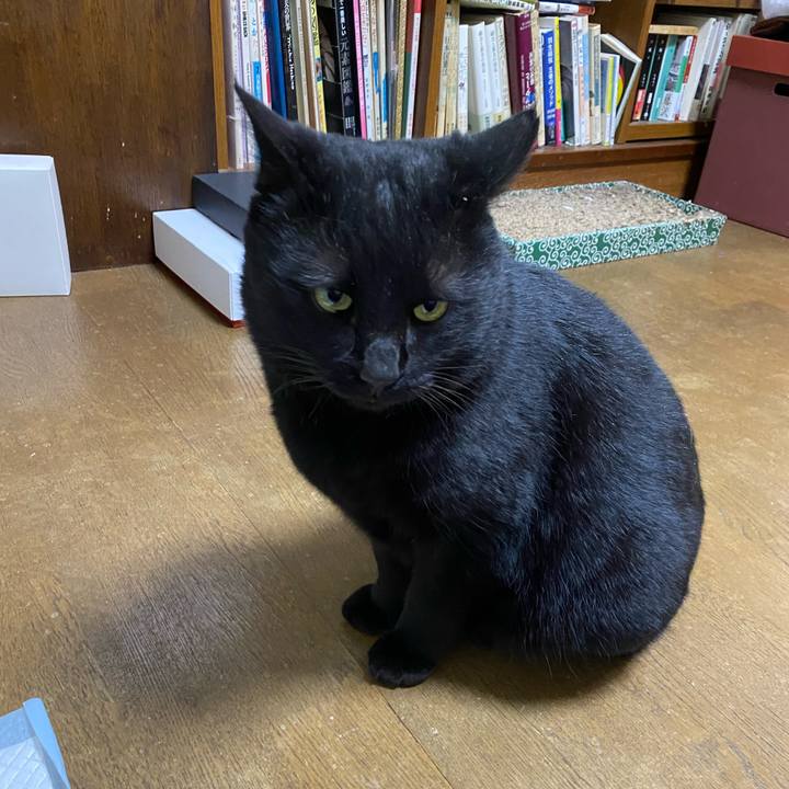 4629d91f e440 456a 99d4 9cbfd090309c 1671547347179