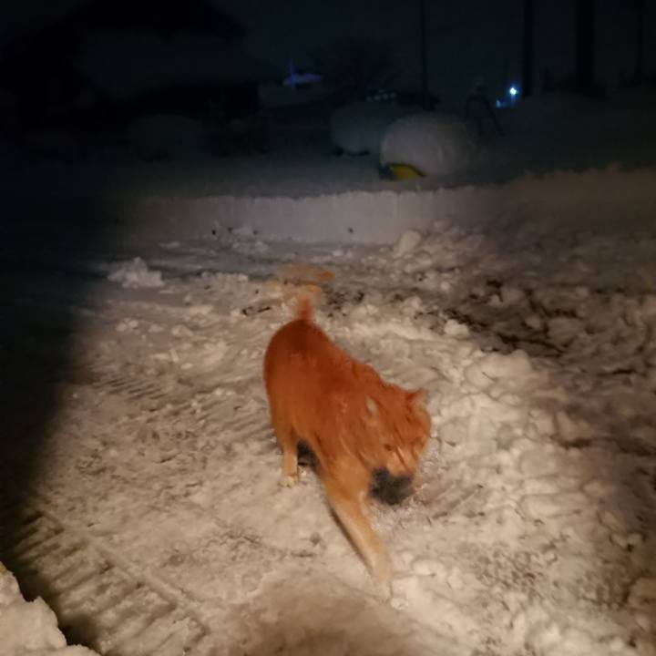 462a2def 1c6e 4c66 9298 6ebe78ccdb28 1608064733698