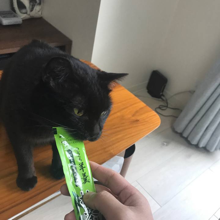 462a4827 313a 455e a473 b992fb8ccc94 1517023682029