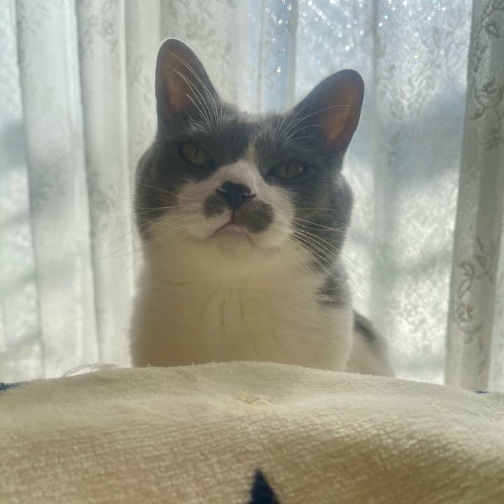 462a4fc3 be2a 4881 9dc8 6104347249d4 1737164073219