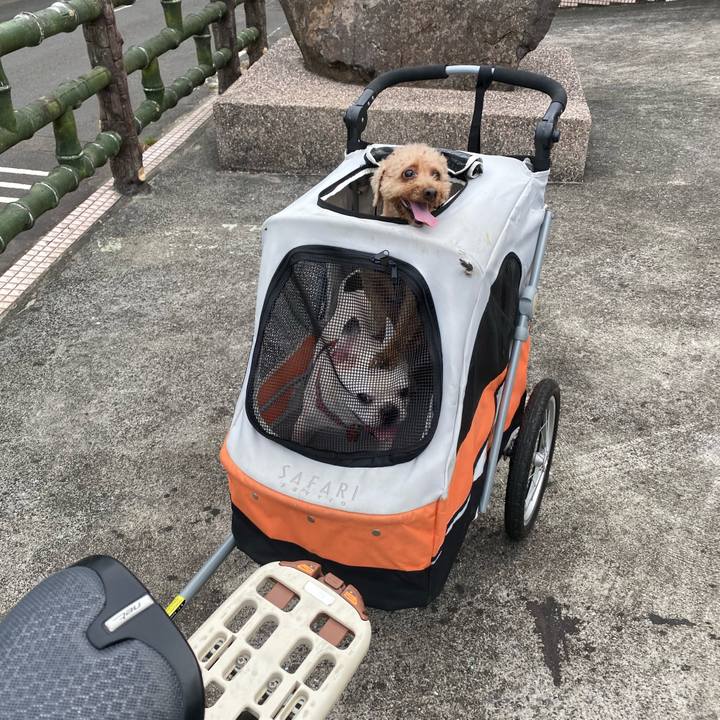 462a5a55 4450 4c3c 91b2 aedbd4c8cbe3 1598943202858