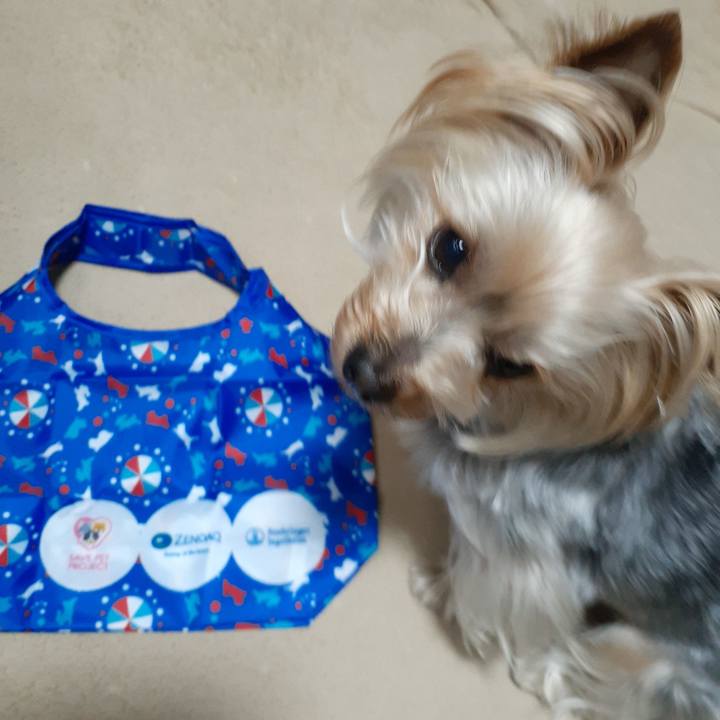 462a8c83 9b9c 43ab 9750 59cc98fbcff0 1682378182968