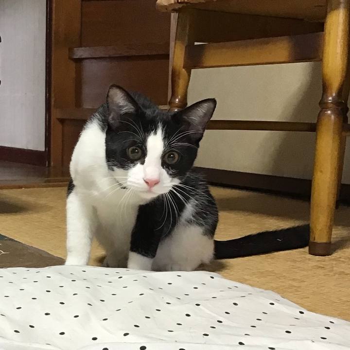 462aba0a d2f2 4d80 9466 eaff245de9d4 1634463716870