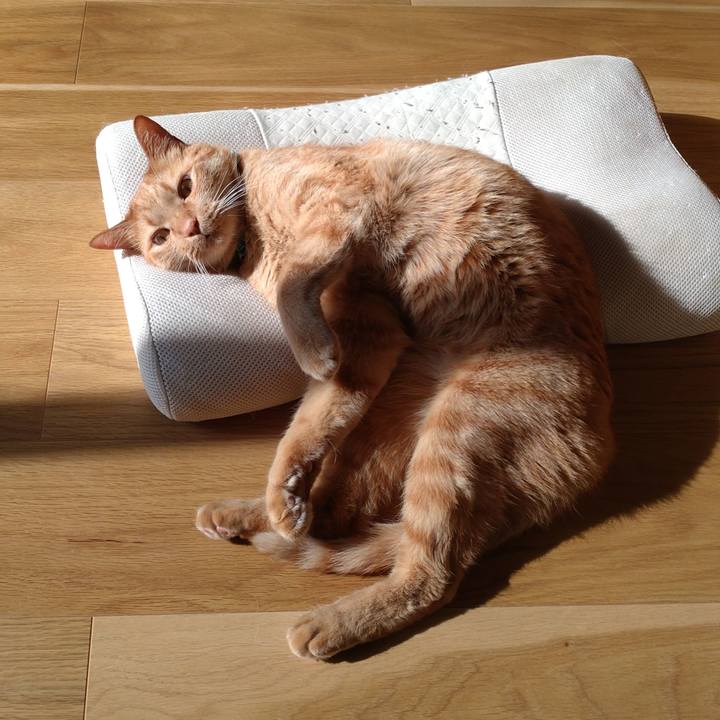 462b209d cc54 4e02 b645 4c6eed559939 1737197229418