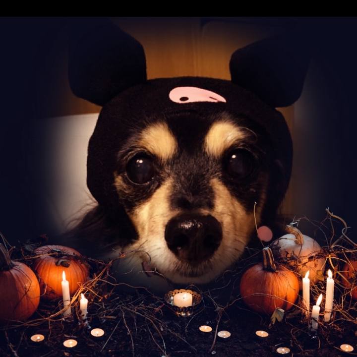 462b3fe8 ff0d 431f b97f cf77ed98b725 1604089593357