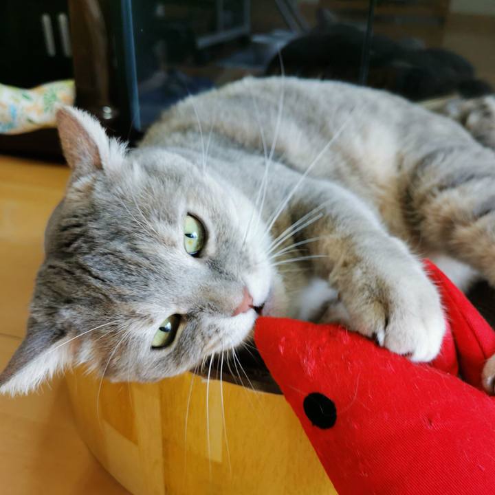 462b5da3 e939 47e4 a0dc b1a7a16a3ad4 1630986059280