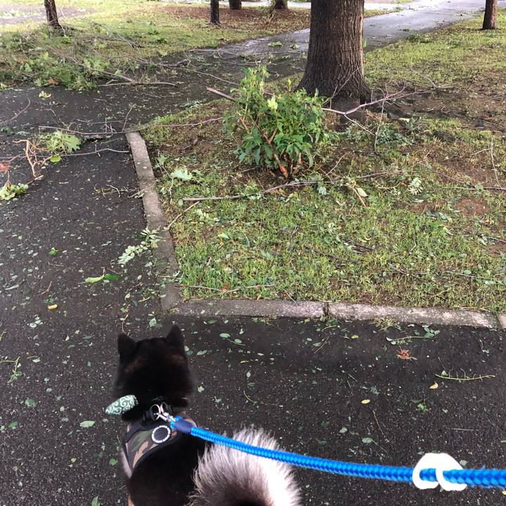 462b9ab9 2397 4cf7 b4ec 57e025ed1286 1536096268448