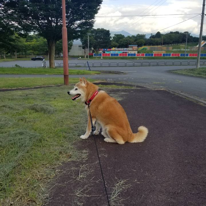 462bad8f 6f79 41d1 83f2 e87de776cc7a 1724140123597