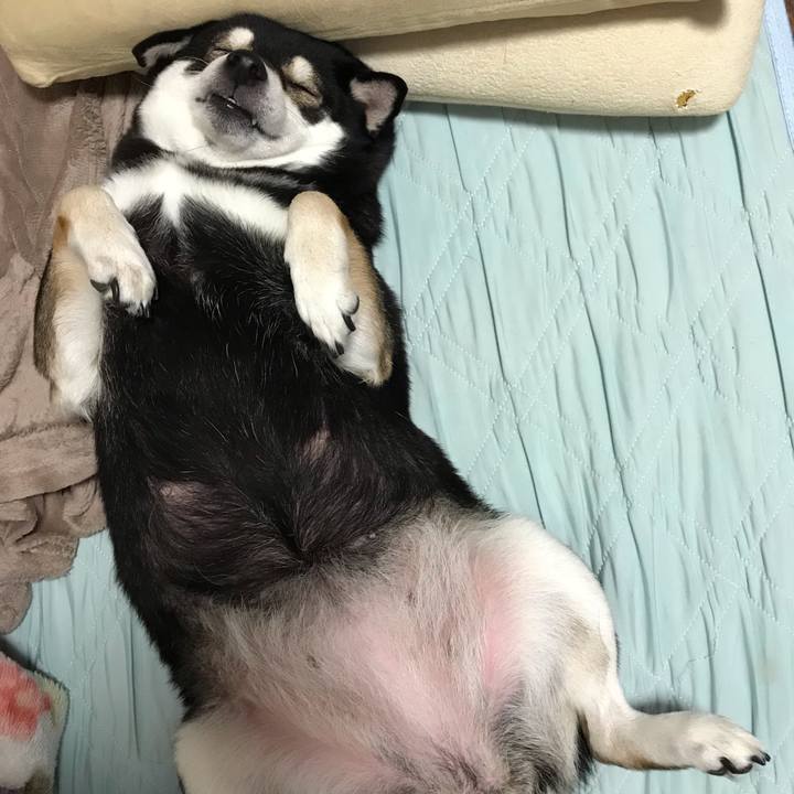 462bb22b d627 4ea8 bcbd 0b4f328f2031 1541862729690