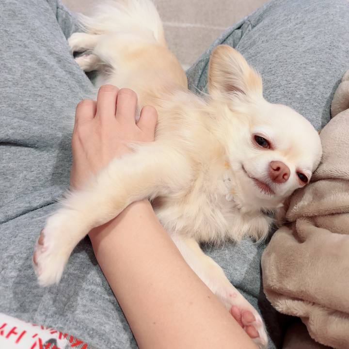 462bbb4c 837f 4d7f ab08 ddb1caba757c 1711716218658