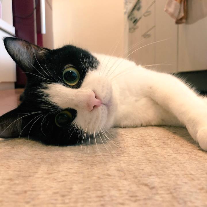 462bcb7a 73ba 4eba 9360 19c00395477d 1532056152461