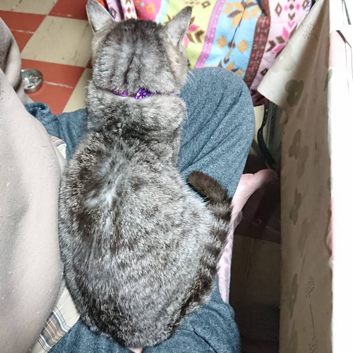 462bcdbd 64c2 4eae a652 faa273da0bec 1584650797036