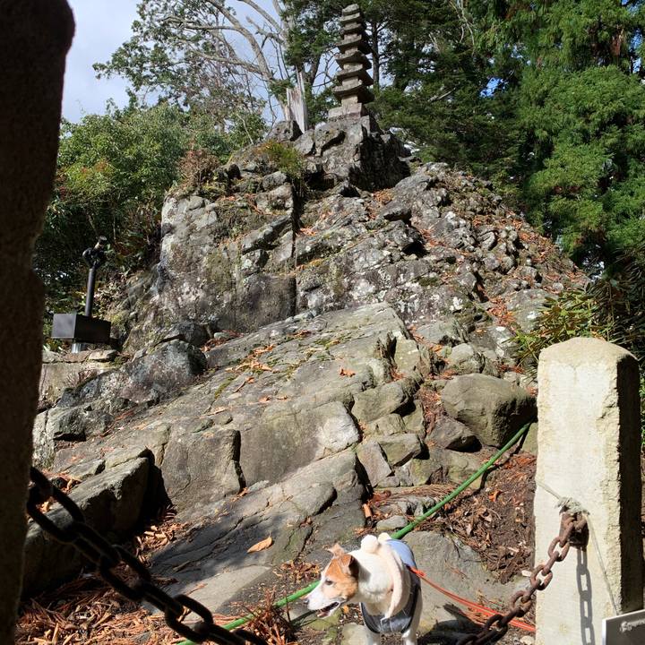 462bd921 7ca6 4405 8652 4d772baae6b8 1575113673747