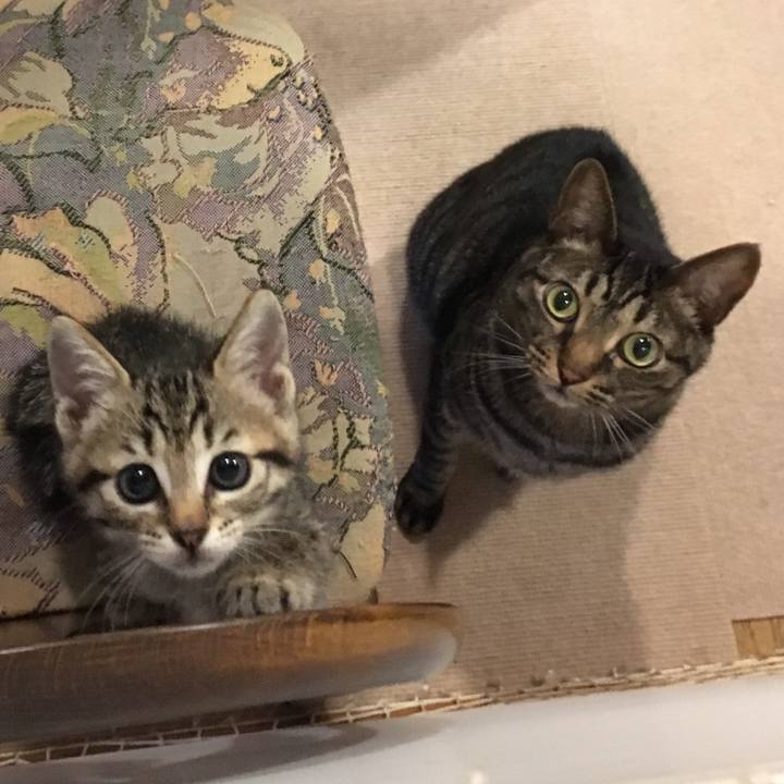 462c2920 de72 452b 8737 bbfd906b9054 1566815079785